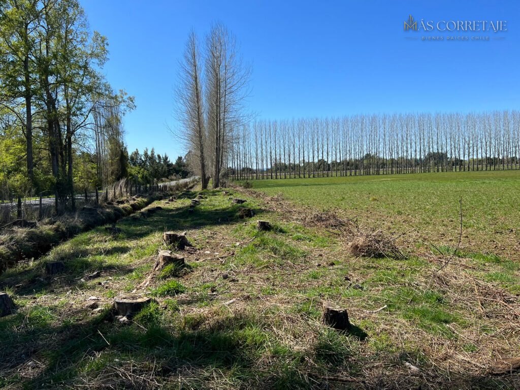 Parcelas Praderas del Sur – Segunda Etapa — foto 2